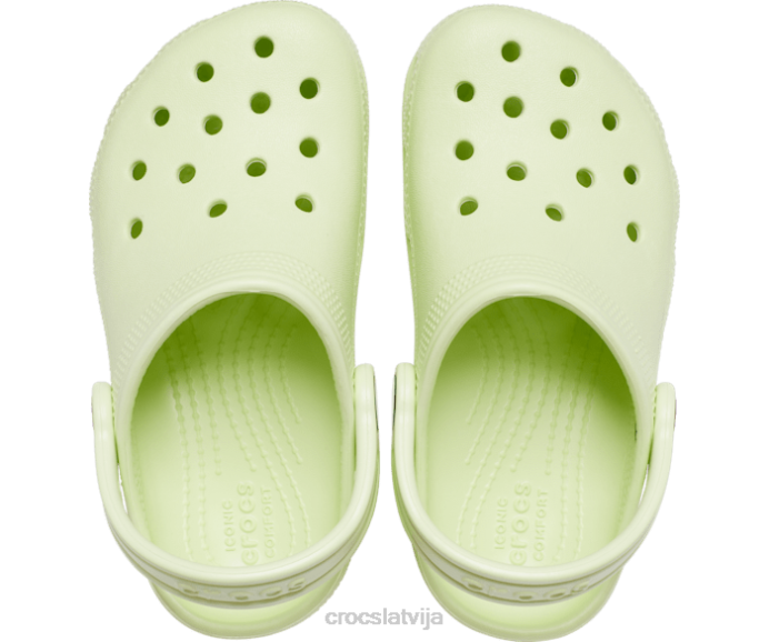 klasiska koka tupele bērni Crocs kurpes N46T507 selerijas