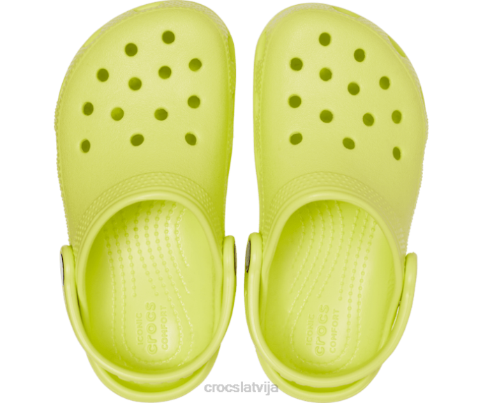klasiska koka tupele bērni Crocs kurpes N46T513 citrusaugļi