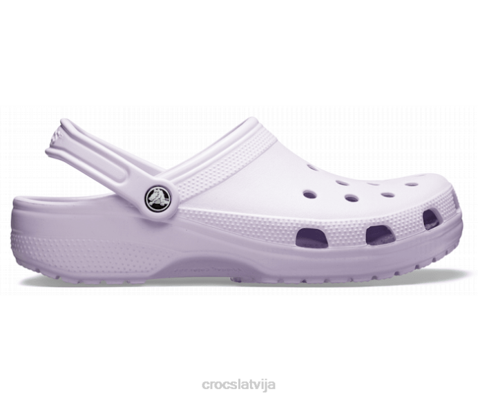 klasiska koka tupele sievietes Crocs kurpes N46T12 lavandas