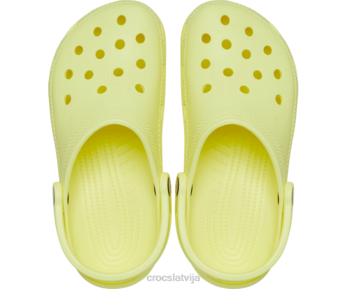 klasiska koka tupele sievietes Crocs kurpes N46T32 sērs