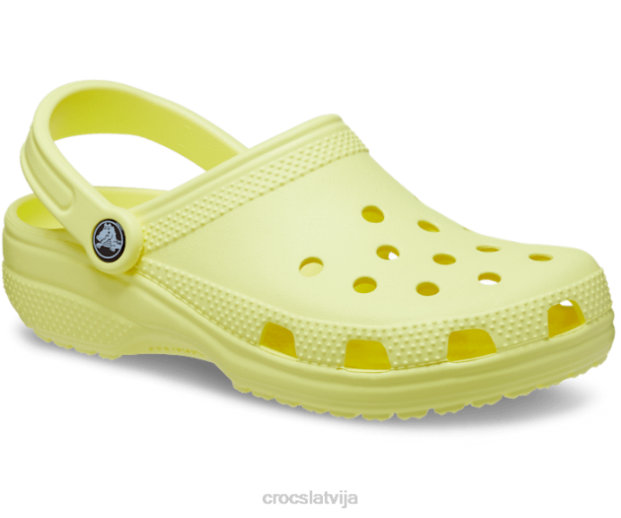 klasiska koka tupele sievietes Crocs kurpes N46T32 sērs